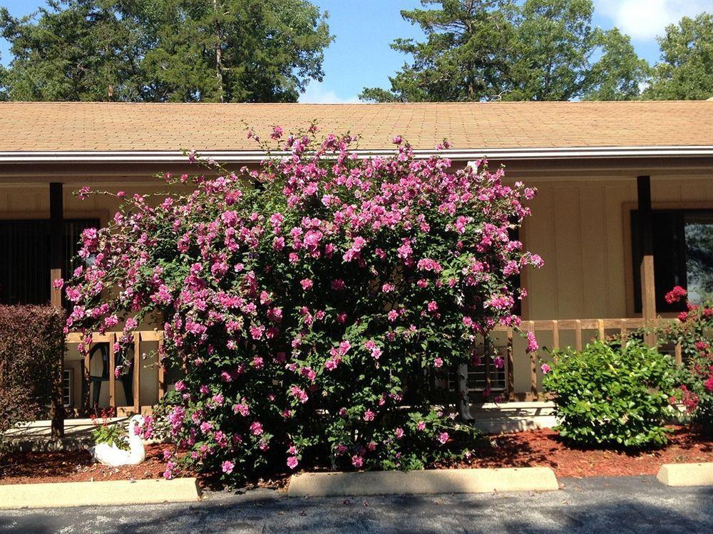 Shady Acre Inn And Suites Branson West Extérieur photo